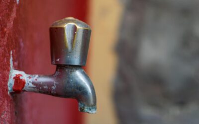 Pilotage de l’irrigation en maraîchage : guide critique essentiel